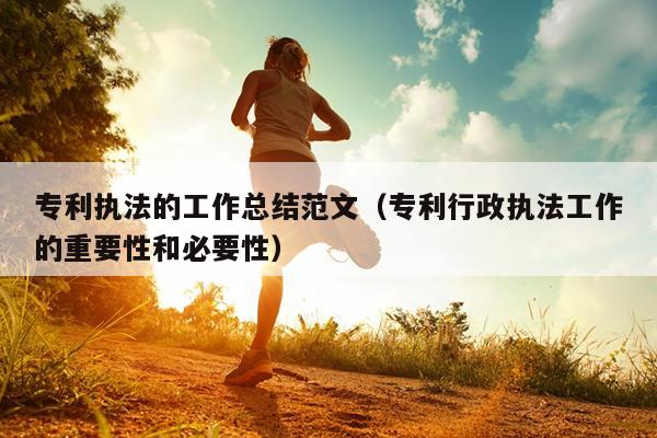 专利执法的工作总结范文(专利行政执法工作的重要性和必要性)