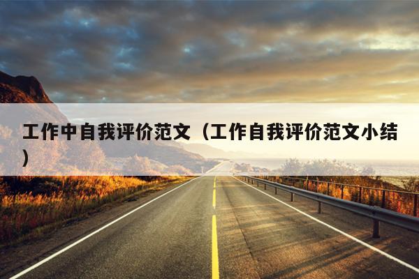 工作中自我评价范文(工作自我评价范文小结)