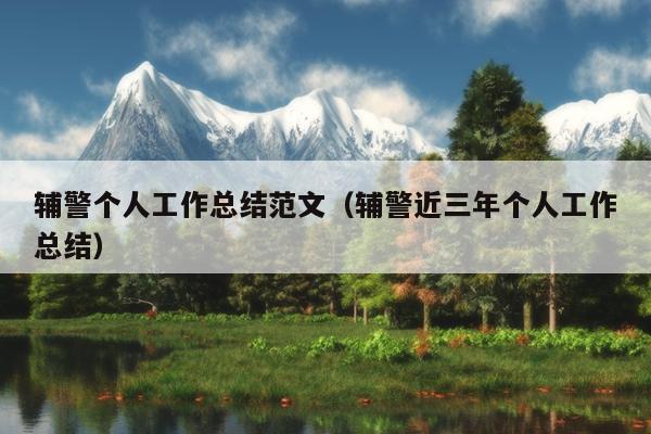 辅警个人工作总结范文(辅警近三年个人工作总结)