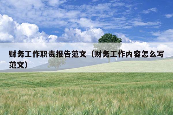 财务工作职责报告范文(财务工作内容怎么写范文)