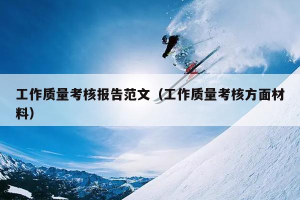 工作质量考核报告范文(工作质量考核方面材料)