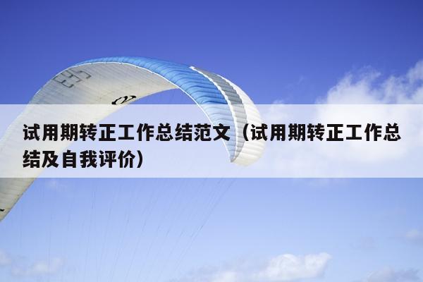 试用期转正工作总结范文(试用期转正工作总结及自我评价)