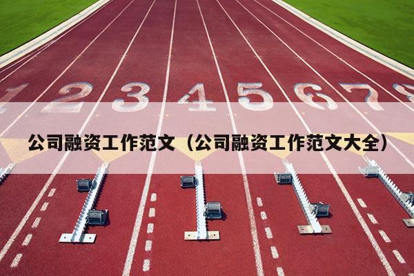 公司融资工作范文(公司融资工作范文大全)