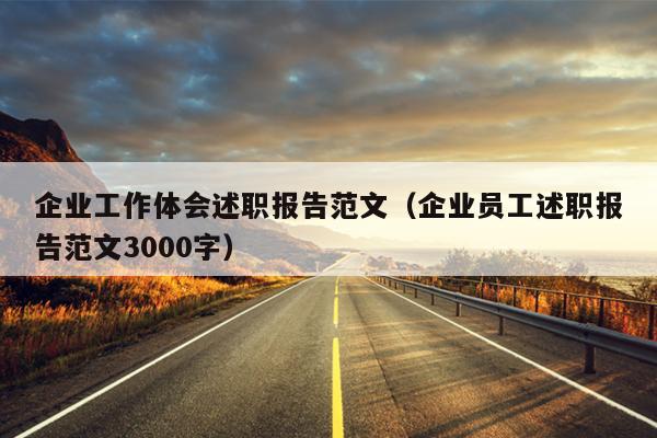 企业工作体会述职报告范文(企业员工述职报告范文3000字)