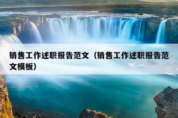 销售工作述职报告范文(销售工作述职报告范文模板)