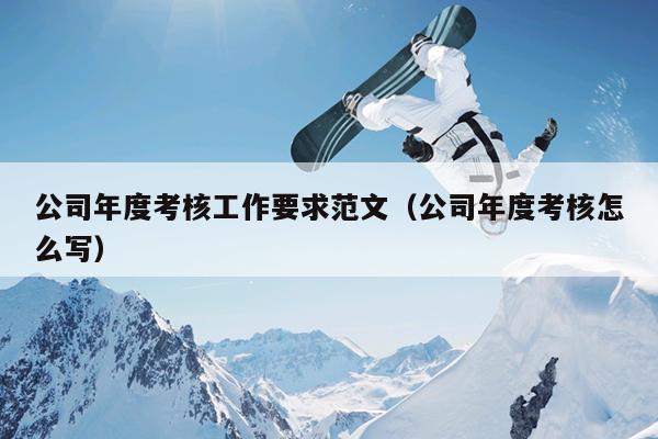 公司年度考核工作要求范文(公司年度考核怎么写)