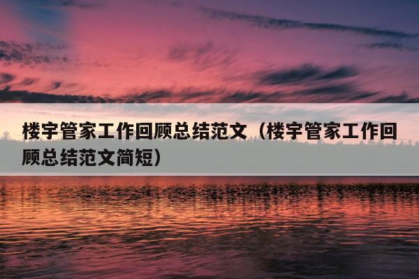 楼宇管家工作回顾总结范文(楼宇管家工作回顾总结范文简短)