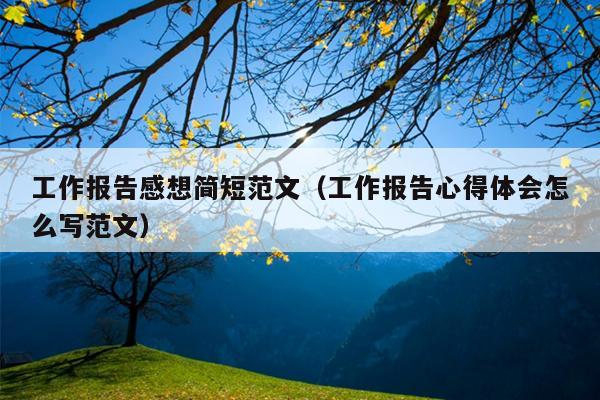 工作报告感想简短范文(工作报告心得体会怎么写范文)