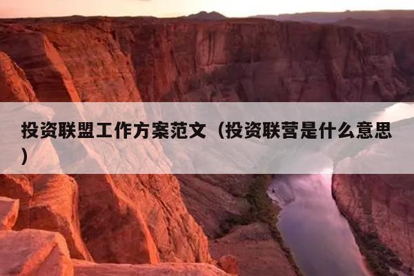 投资联盟工作方案范文(投资联营是什么意思)