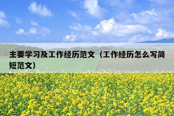 主要学习及工作经历范文(工作经历怎么写简短范文)