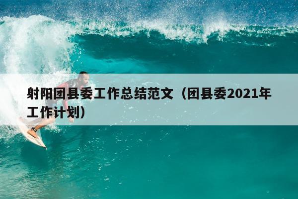 射阳团县委工作总结范文(团县委2021年工作计划)