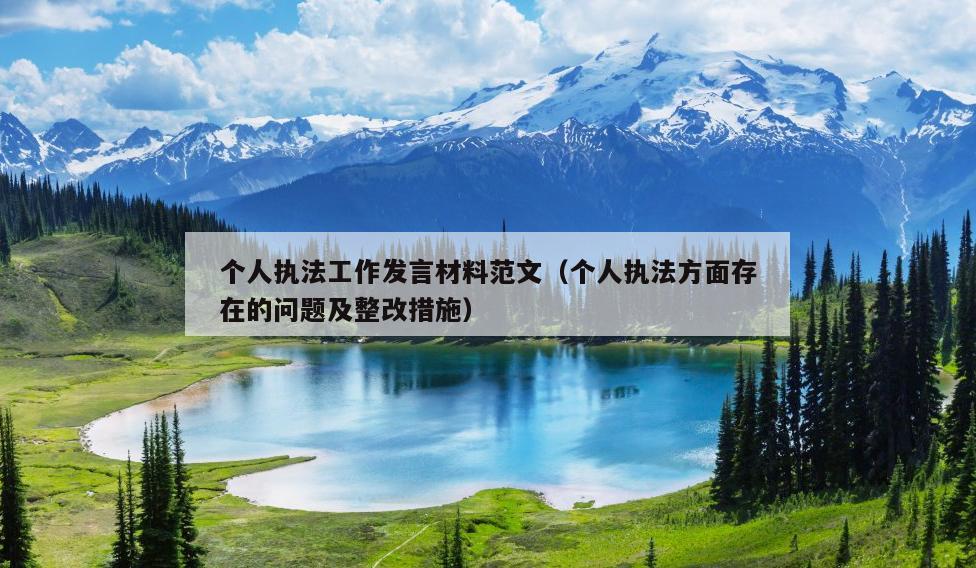 个人执法工作发言材料范文(个人执法方面存在的问题及整改措施)