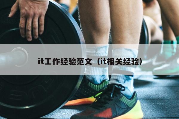 it工作经验范文(it相关经验)