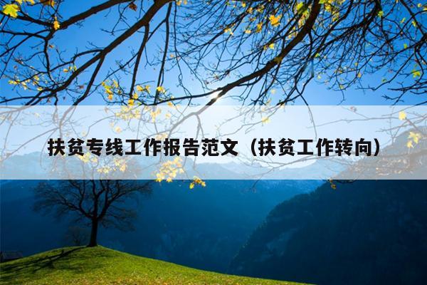 扶贫专线工作报告范文(扶贫工作转向)
