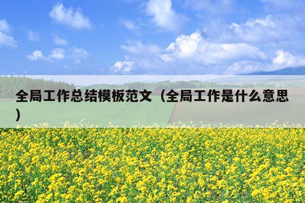 全局工作总结模板范文(全局工作是什么意思)