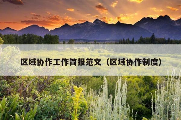 区域协作工作简报范文(区域协作制度)