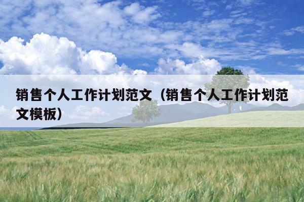 销售个人工作计划范文(销售个人工作计划范文模板)