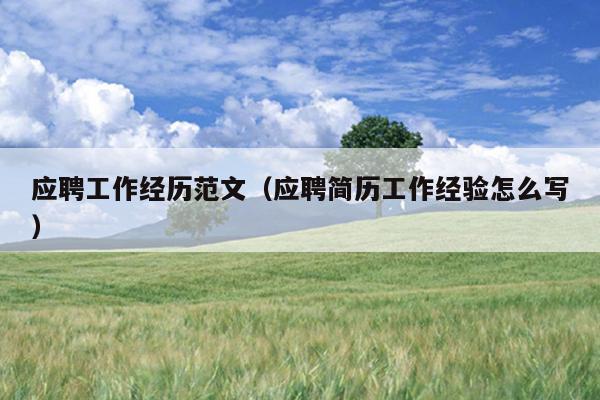 应聘工作经历范文(应聘简历工作经验怎么写)