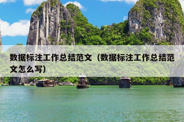 数据标注工作总结范文(数据标注工作总结范文怎么写)