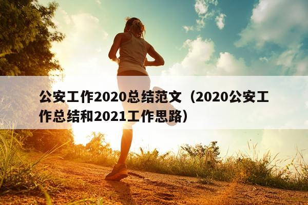 公安工作2020总结范文(2020公安工作总结和2021工作思路)