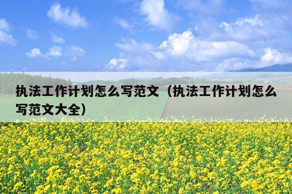 执法工作计划怎么写范文(执法工作计划怎么写范文大全)