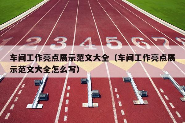 车间工作亮点展示范文大全(车间工作亮点展示范文大全怎么写)