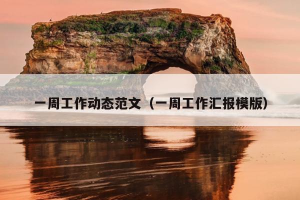 一周工作动态范文(一周工作汇报模版)