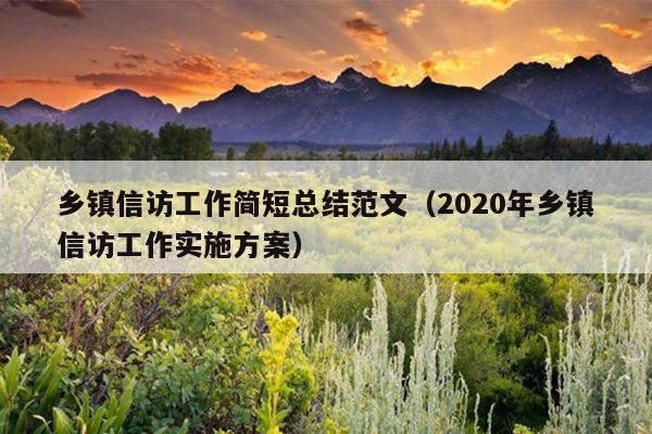 乡镇信访工作简短总结范文(2020年乡镇信访工作实施方案)