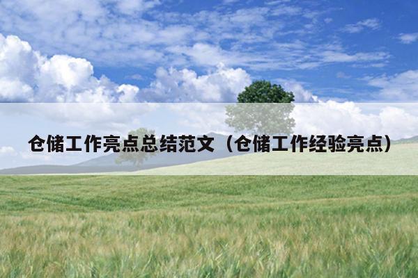 仓储工作亮点总结范文(仓储工作经验亮点)