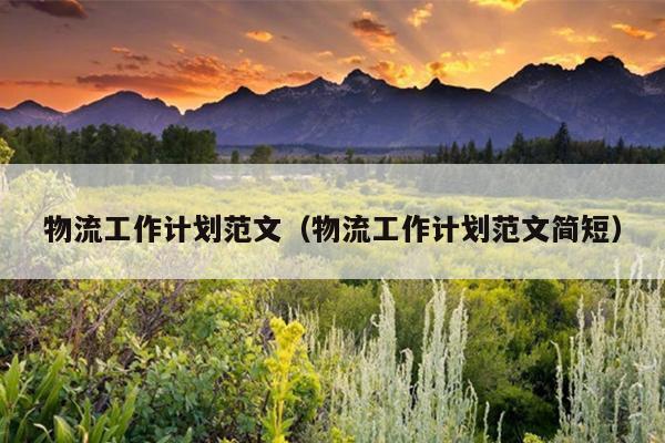 物流工作计划范文(物流工作计划范文简短)