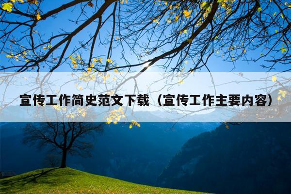 宣传工作简史范文下载(宣传工作主要内容)