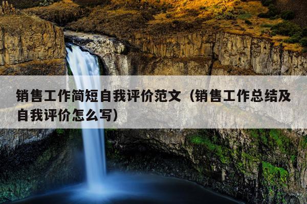 销售工作简短自我评价范文(销售工作总结及自我评价怎么写)