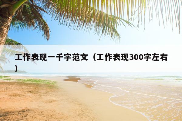 工作表现一千字范文(工作表现300字左右)