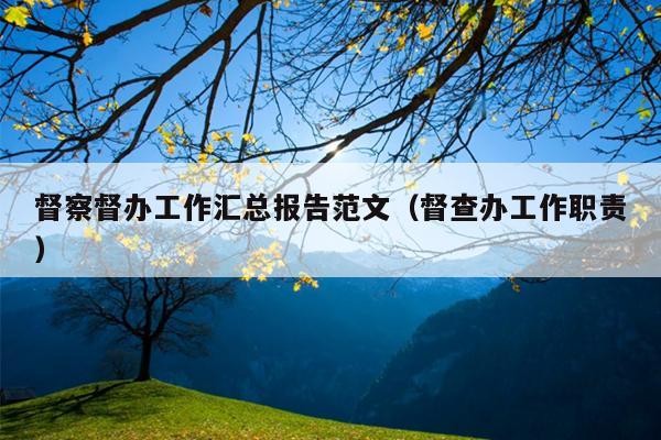 督察督办工作汇总报告范文(督查办工作职责)