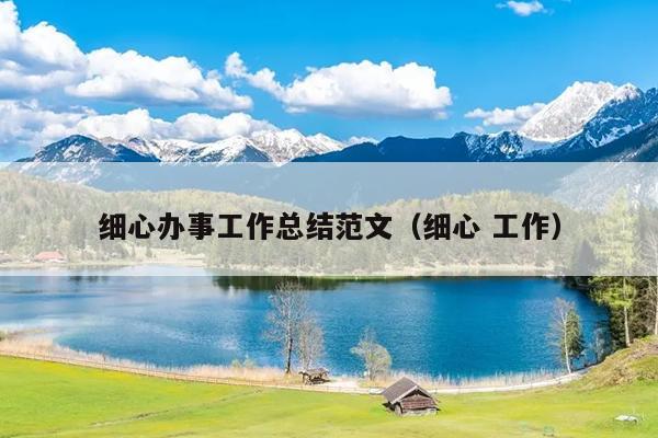细心办事工作总结范文(细心 工作)