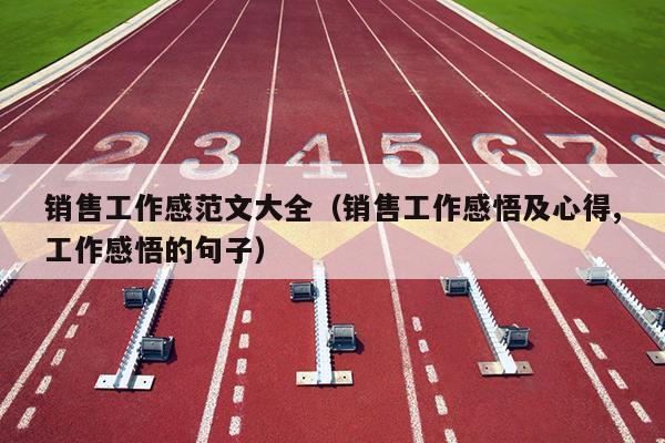 销售工作感范文大全(销售工作感悟及心得,工作感悟的句子)