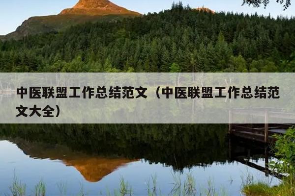 中医联盟工作总结范文(中医联盟工作总结范文大全)