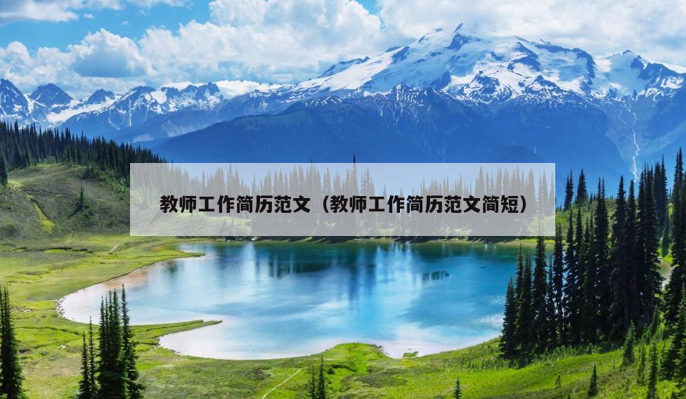 教师工作简历范文(教师工作简历范文简短)