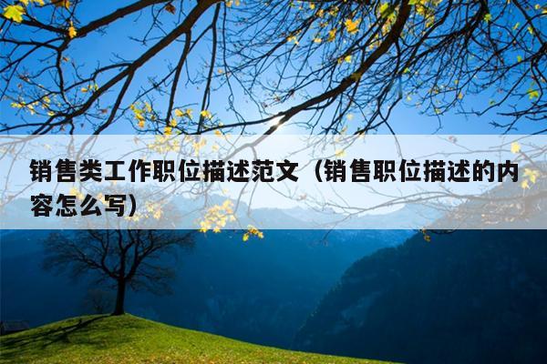 销售类工作职位描述范文(销售职位描述的内容怎么写)