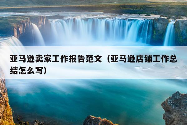 亚马逊卖家工作报告范文(亚马逊店铺工作总结怎么写)