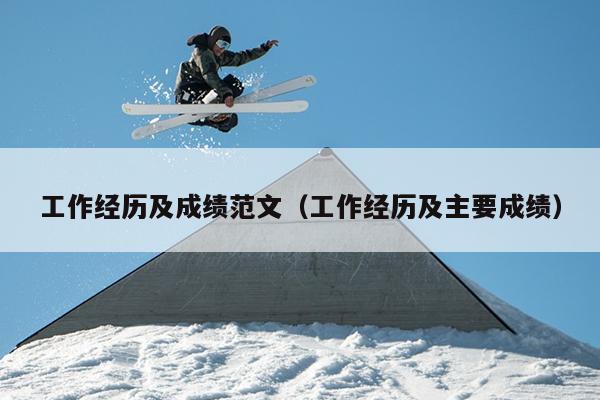 工作经历及成绩范文(工作经历及主要成绩)