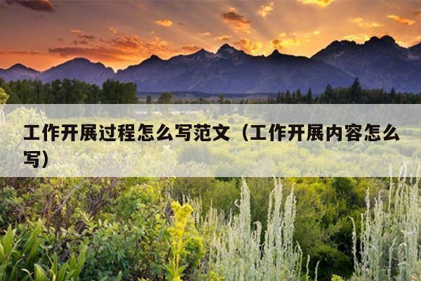 工作开展过程怎么写范文(工作开展内容怎么写)
