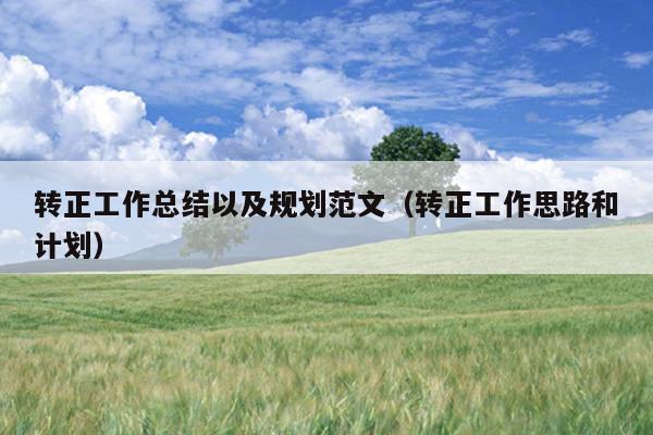 转正工作总结以及规划范文(转正工作思路和计划)