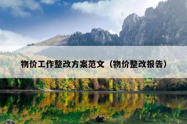 物价工作整改方案范文(物价整改报告)