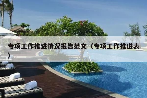 专项工作推进情况报告范文(专项工作推进表)