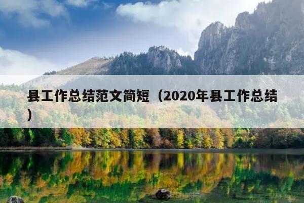 县工作总结范文简短(2020年县工作总结)