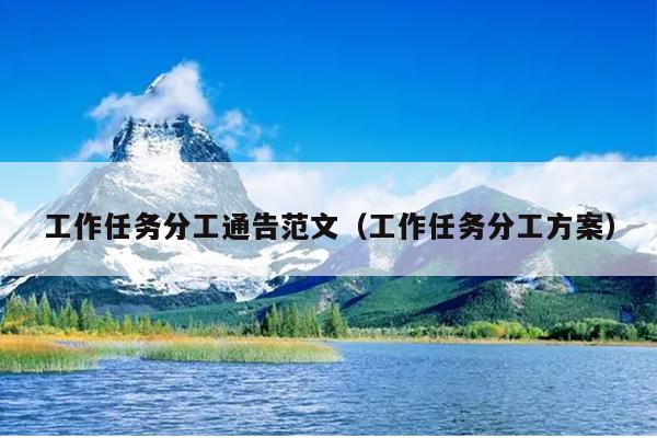 工作任务分工通告范文(工作任务分工方案)