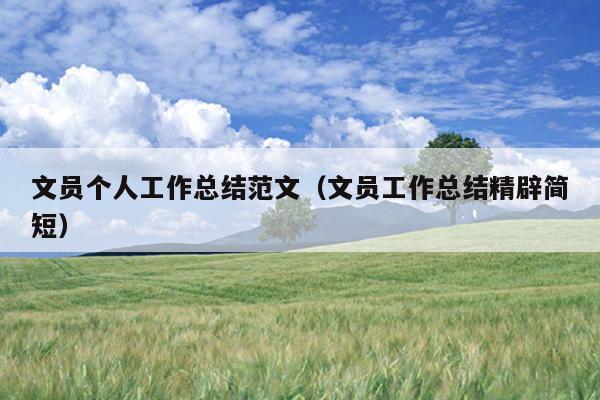 文员个人工作总结范文(文员工作总结精辟简短)