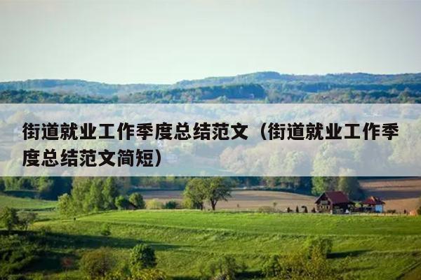 街道就业工作季度总结范文(街道就业工作季度总结范文简短)