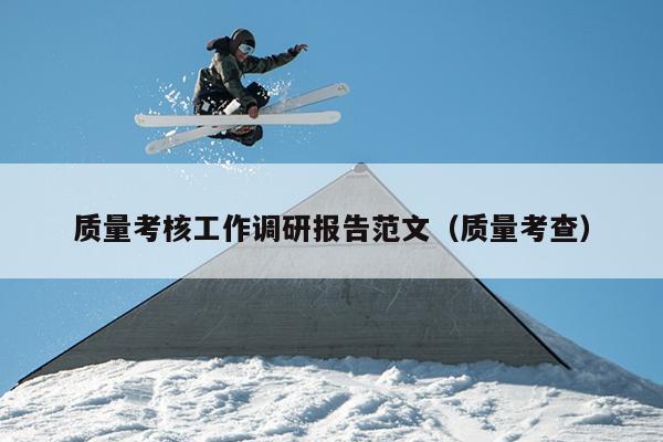 质量考核工作调研报告范文(质量考查)